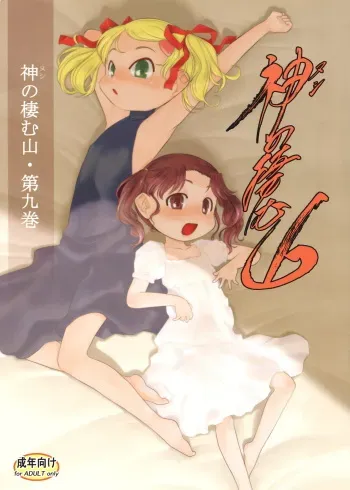 Nushi no Sumu Yama Vol. 9 manga cover