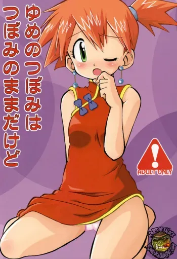[Ukkaridou (Shimazu Isami)] Yume no Tsubomi wa Tsubomi no Mama dakedo | A Dream’s Bud Should Remain a Bud (Pokémon) [Spanish] [kalock] manga cover