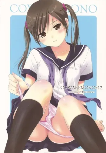 (C78) [Ocarina (Dyontairan)] Cowaremono #12 manga cover