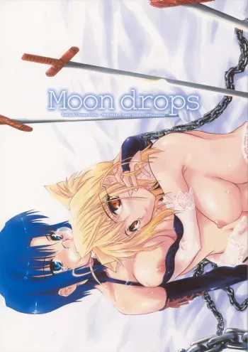 (C66) [Shimoyakedou (Ouma Tokiichi)] Moon Drops (Tsukihime) manga cover