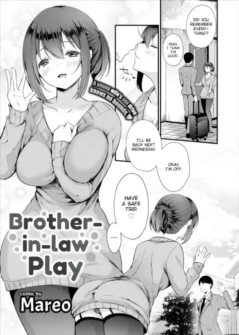 Brother-in-law Play manga cover