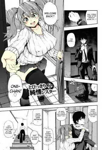 Tobikkiri Junjou Sister manga cover
