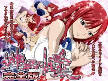 [NEL-ZEL FORMULA] Yosei jou no Seikan Sou Complete Edition (Fairy Tail) [Part 2/2] manga cover