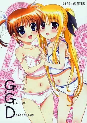 (C89) [Tamagoya (Miyajima Hitoshi)] Gallus.Gallus.Domesticus 2015.WINTER (Mahou Shoujo Lyrical Nanoha) manga cover