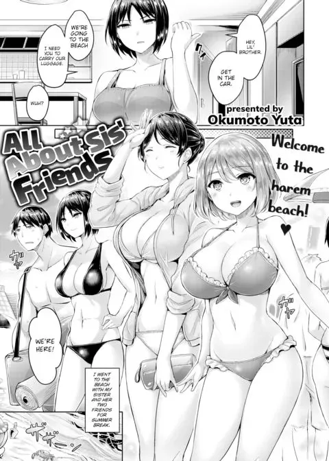 All About Sis' Friends manga cover