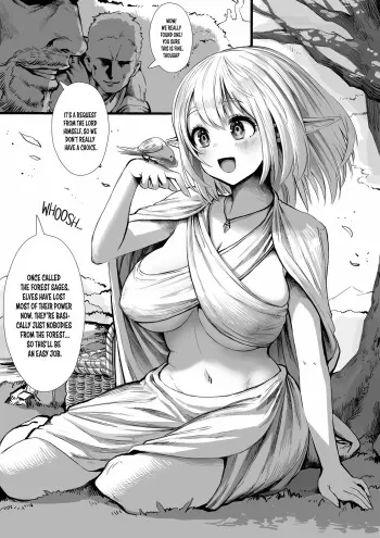 Elf's Past manga cover