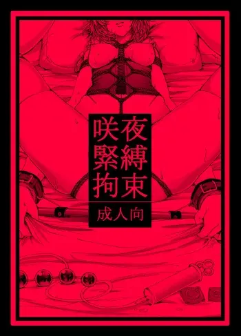 [Daiji na Koto wa Nikai mo Iwanai (Hasebe soutsu)] Sakuya Kinbaku Kousoku (Touhou Project) [Digital] manga cover
