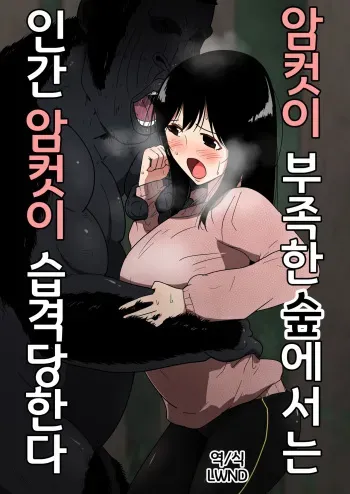 [Flare] Mesu ga Fusoku Shita Mori de wa Ningen no Mesu ga Osowareru | 암컷이 부족한 숲에서는 인간 암컷이 습격당한다 [Korean] [LWND] manga cover