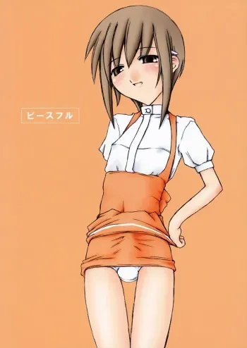 (C63) [Sasaduka (Riuichi)] Peaceful manga cover