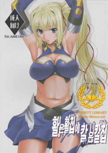 [Oretachi Misnon Ikka (Suhara Shiina)] Yumi wa Fukuro ni Tachi wa Saya (Madan no Ou to Vanadis) [Korean] [Liberty Library] manga cover
