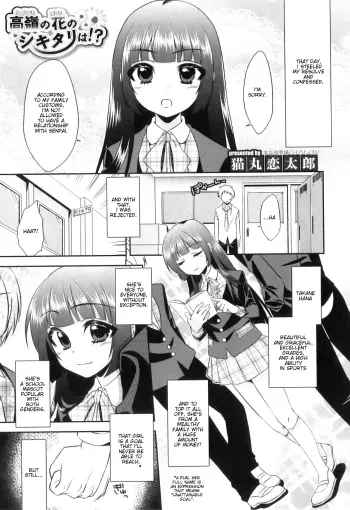 Otokonoko Heaven Vol. 8 - Takane no Hana no Shikitari Wa?! manga cover