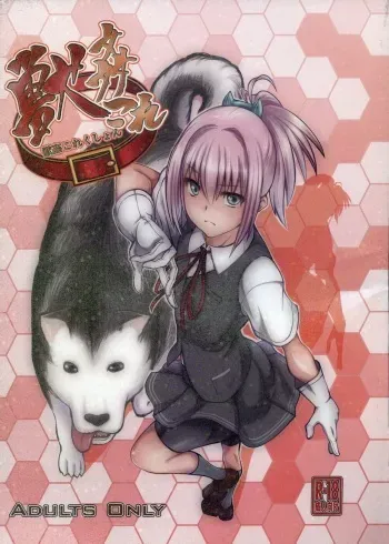 (SC61) [Zensoku Rider (Tenzen Miyabi)] Juukan Collection (Kantai Collection) manga cover