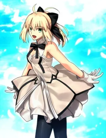 Saber Lily (Fate Series) manga cover