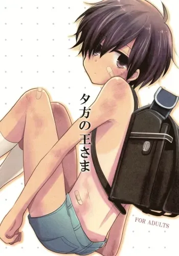 Yuugata no Ousama manga cover