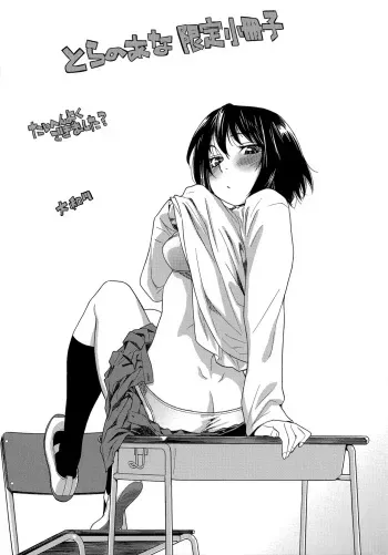 [Yamatogawa] Taihen Yoku Dekimashita? Toranoana Gentei Shousasshi manga cover