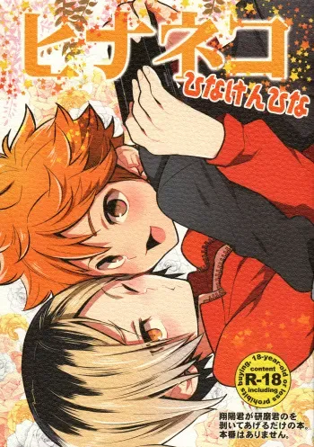(IDLING ATTACKER7) [Chigen TORINO (S.kosugi)] Hina Neko (Haikyuu!!) manga cover