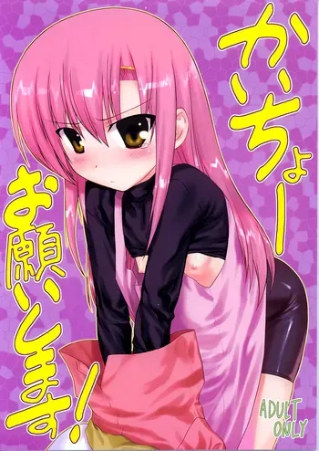 (C72) [ARCHIVES (Hechi, Sanada Kana)] Kaichou Onegaishimasu! (Hayate no Gotoku!) [Russian] [Mechen] manga cover