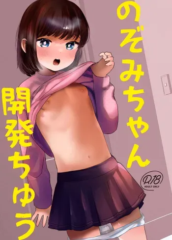 Nozomi-chan Kaihatsuchuu manga cover