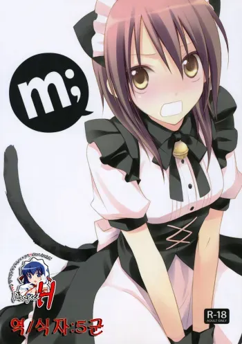 (C77) [m.s.t. (Nanami Yasuna)] m; (Kaichou wa Maid-sama!) [Korean] [Team Project H] manga cover