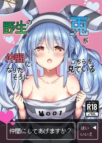 [Hachinoko P (hatigo)] Yasei no Usagi ga Nakama ni Naritasou ni Kochira wo Miteiru (Usada Pekora) [Digital] manga cover