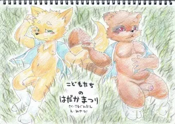 Naked Festival manga cover