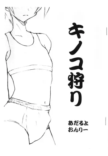 (CR34) [Hanjuku Yude Tamago (Canadazin)] Kinokogari (Various) manga cover