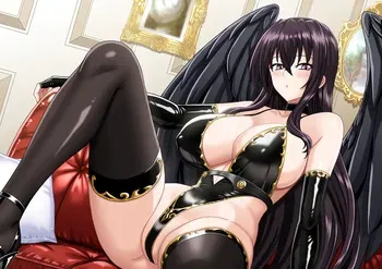[Hell and Heaven] Raynare collection (High School DxD) manga cover