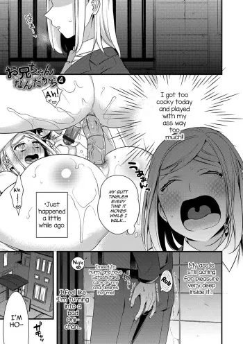 Onii-chan nan dakara 4 manga cover