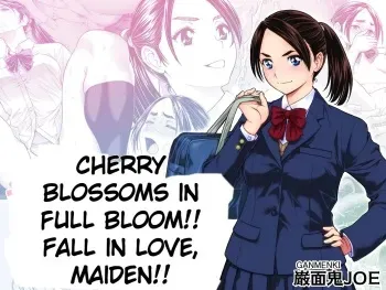 Cherry Blossoms in Full Bloom!! Fall in Love, Maiden!! manga cover