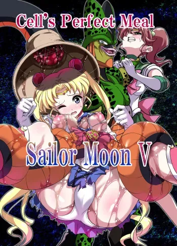 Sailor Moon V manga cover