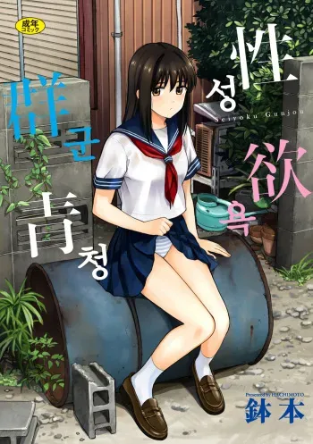 [Hatimoto] Seiyoku Gunjou | 성욕 군청 [Korean] [Digital] manga cover