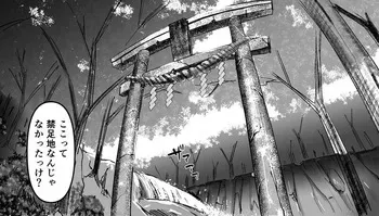 [Velzhe] Shirikodama manga cover