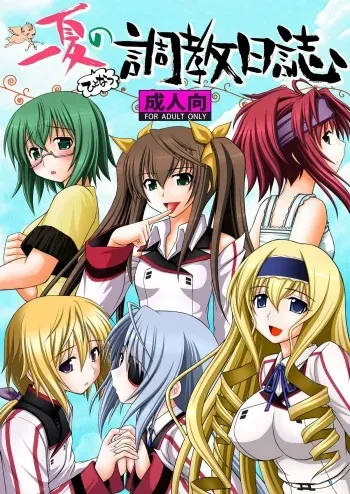 (C80) [Asanoya (Kittsu)] Ichika no Choukyou Nisshi (IS <Infinite Stratos>) manga cover