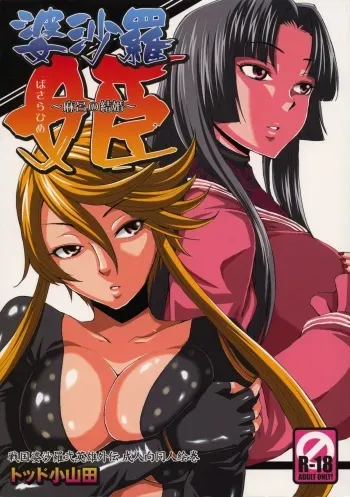 (SC38) [Todd Special (Todd Oyamada)] Basara Hime (Sengoku Basara) [English] manga cover