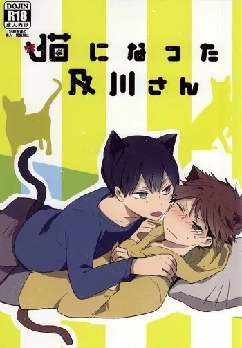 (RTS!!5) [Shounen-H (Yuuki)] Neko ni Natta Oikawa-san (Haikyuu!!) manga cover