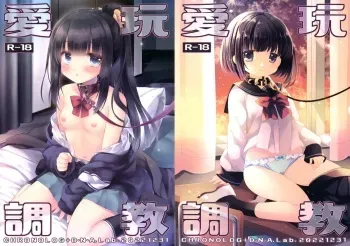 (C101) [D.N.A.Lab., CHRONOLOG (Miyasu Risa, Sakurazawa Izumi)] Aigan Choukyou manga cover