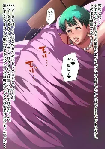 [B-Kyuu Site (bkyu)] The Days of Burning (Dragon Ball) manga cover