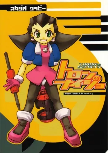 [Studio Wallaby (Various)] Tron no Naisho (Mega Man Legends) manga cover