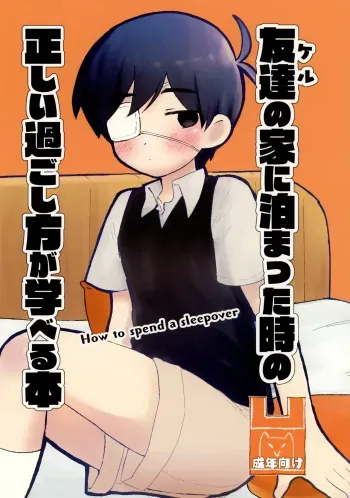 A book on how to spend a Sleepover manga cover