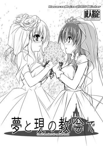 [Reverse Noise (Yamu)] Yume to Utsutsu no Kyoukai de (Touhou Project) [Digital] manga cover