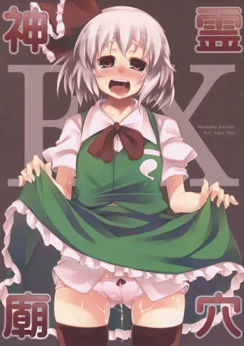 Shinreibyou ana EX manga cover