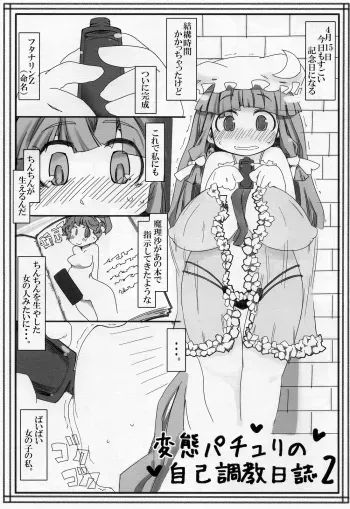 (Reitaisai 8) [Kouhuku Shigen (ryokutya)] Hentai Patchouli no Jiko Choukyou Nisshi 2 (Touhou Project) manga cover