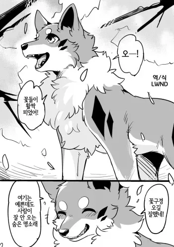 [Minaga Tsukune] Secret Flower Viewing Spot [Korean] [Decensored] [LWND] manga cover