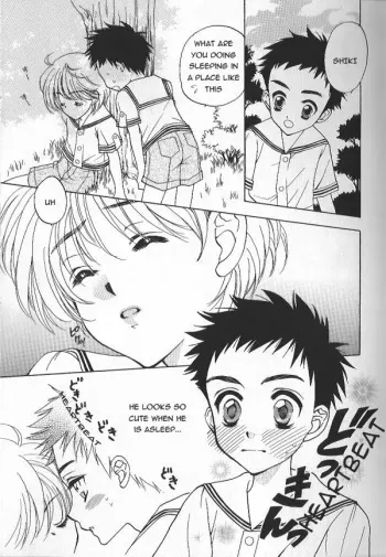 The Heart Fluttering Kiss manga cover