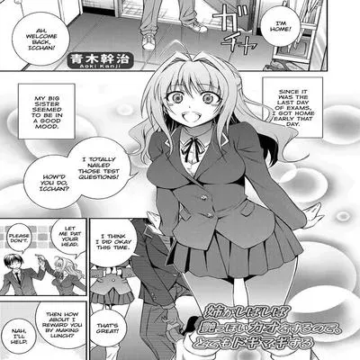 Ane ga Shibashiba Tsuyappoi Kao o Suru node, Totemo Dogimagi Suru [Original] manga cover