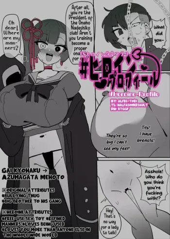 Heroine Profile 5 manga cover