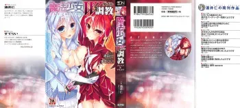 [Sakai Hitoshi, Stealyy] Mahou Shoujo Double Choukyou Freya & Christa manga cover