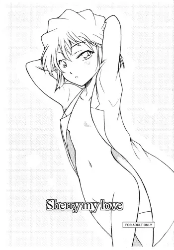 (C88) [OTOHIMEDOU (Otumaru)] Sherry my love (Meitantei Conan) manga cover