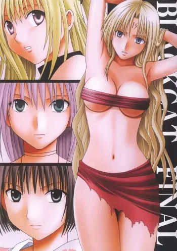 (C66) [Crimson (Carmine)] Black Cat Final (Black Cat) [English] [SaHa] [Incomplete] manga cover
