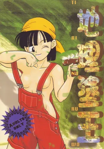 (C54) [Chirigami Goya, Fusuma go Ten (Shoji Hariko)] Tirinuruwo (DRAGON BALL) manga cover